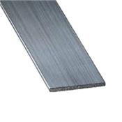 Large plat - 300 X 10mm - 6 ML