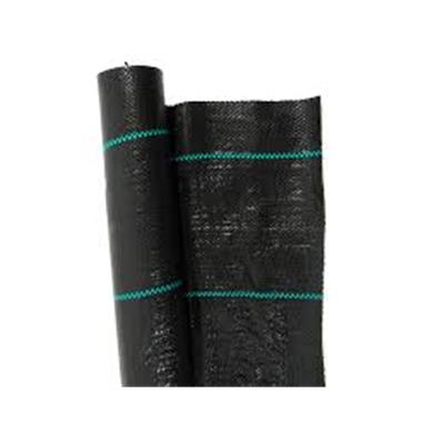 Toile Paillage Paysage Noire - 2.1x50 m